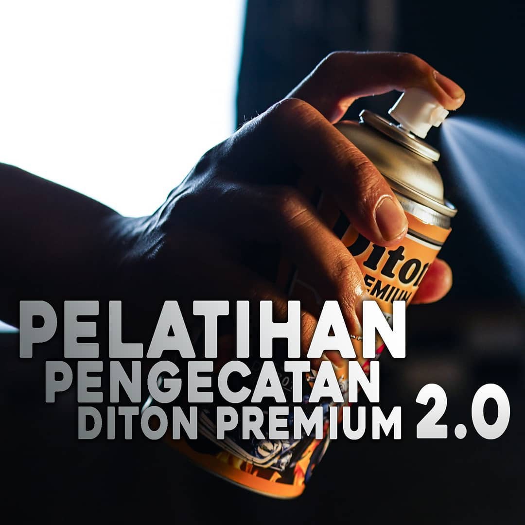 Diton Premium 2.0 Painting Training